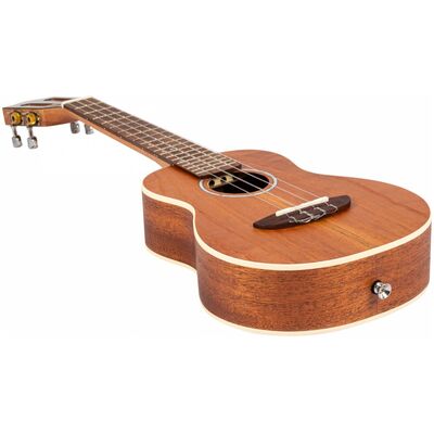 Укулеле Flight Iris Concert Calantas, изображение 4