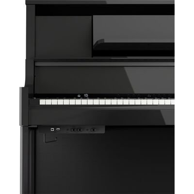 Цифровое пианино Roland LX-9-PE, Цвет: Черный, изображение 5