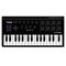 Midi-клавиатура M-Audio Axiom AIR Mini 32