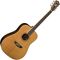 Гитара акустическая Washburn WD21S