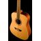 Гитара акустическая Washburn WD10S, изображение 3