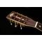 Гитара акустическая Washburn WP26SNS, изображение 3