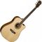 Электроакустическая гитара Washburn WD10SCENS