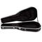 Полуакустическая гитара Washburn HB35NK, изображение 2