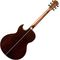 Электроакустическая гитара Washburn EA20SNB, изображение 2