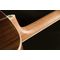 Гитара акустическая Washburn WG10S, изображение 3