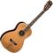 Гитара акустическая Washburn WP5234S
