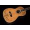 Гитара акустическая Washburn WP5234S, изображение 2
