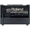 Комбоусилитель Roland AC-60, изображение 3