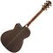 Гитара электроакустическая Fender PM-3 Deluxe Triple Sunburst, изображение 2