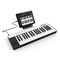 MIDI клавиатура IK Multimedia iRig Keys PRO MIDI, изображение 2