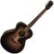 Гитара акустическая Washburn RGS200SWVSK