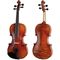 Скрипка Karl Hofner AS-180 4/4, изображение 2