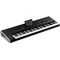 Музыкальная рабочая станция Korg Pa4X-OR 76, изображение 2