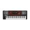 Музыкальная рабочая станция Korg Pa700-OR