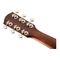 Акустическая гитара Fender PM-1 Dreadnought All Mahogany, изображение 5