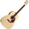Гитара электроакустическая Norman Studio B50 Presys TRIC