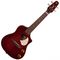 Укулеле Seagull Uke Nylon SG Burst EQ