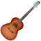 Гитара электроакустическая Norman Protege B18 Cedar Folk Tobacco Burst Presys