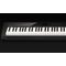 Цифровое пианино Casio Privia PX-S1000BK, изображение 3