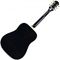 Гитара акустическая Epiphone PRO-1 Plus Acoustic Ebony, изображение 2