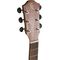 Гитара электроакустическая Baton Rouge AR61S/ACE, изображение 4