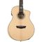 Гитара электроакустическая Washburn BTSC56SCE Bella Tono Studio 56 CE, изображение 2