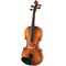 Скрипка Strunal Verona 150A 4/4, изображение 3