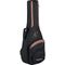 Гитара классическая Ortega R180, изображение 3