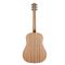 Гитара акустическая Maton S60, изображение 4
