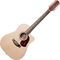 12-ти струнная гитара Maton SRS70C/12