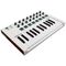 MIDI-клавиатура Arturia MiniLab MkII, изображение 2