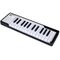 MIDI-клавиатура Arturia MicroLab Black, изображение 2