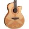 Гитара электроакустическая Luna Henna Sahara Spruce, изображение 2