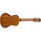 Укулеле Luna UKE Tattoo Spruce Concert, изображение 2