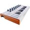 MIDI-клавиатура Arturia MiniLab, изображение 2