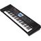 Синтезатор Roland BK-3-BK, изображение 2