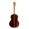 Гитара классическая Kremona SA-C Artist Series Solea, изображение 2