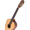 Гитара классическая Ortega R131SN Family Series Pro, изображение 5