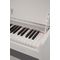 Цифровое пианино Nux WK-310 White, Количество клавиш: 88, Цвет: Белый, изображение 2