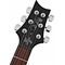 Электрогитара PRS 35th Anniversary SE Custom 24 Black Gold Burst, изображение 7