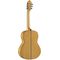 Гитара классическая Alhambra 10 Fc, изображение 2