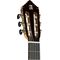 Гитара классическая Alhambra 10 Fc, изображение 3