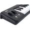 Midi-клавиатура Korg Microkey2-49, изображение 2