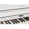 Цифровое пианино Roland HP704-WH, изображение 3
