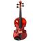 Скрипка Strunal Florence 193wA 4/4