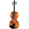 Скрипка Strunal Verona 150A 1/2