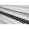 Фортепиано Becker CBUP-121PW, изображение 5