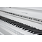 Фортепиано Becker CBUP-118PW-2, изображение 3