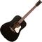 Гитара акустическая Art & Lutherie Americana Faded Black